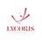 LYCORIS Official Shop