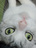 さんねんさんくみ。