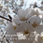 Fragment of Time Project