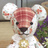 littlebear